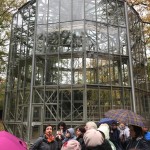 Пильниц. Посещение прекрасной старушки Камелии (300 лет)